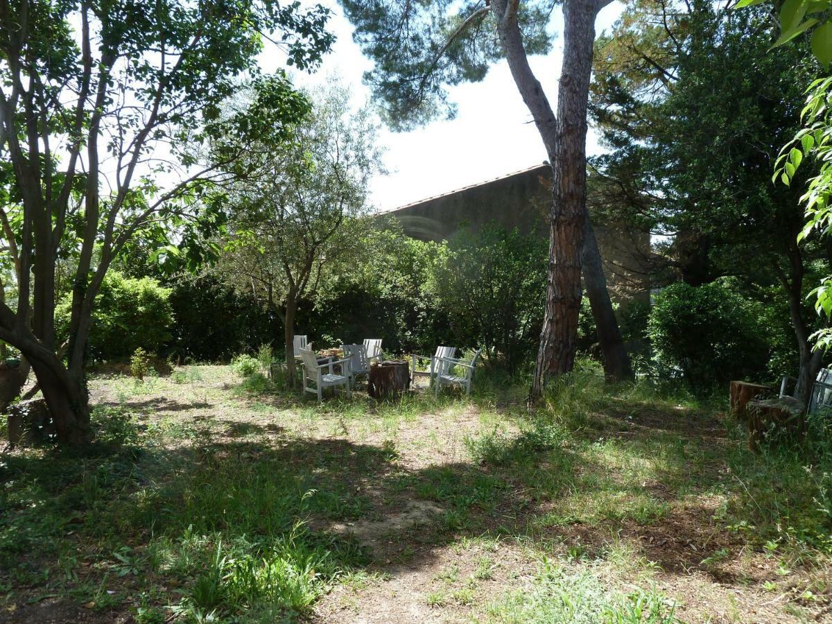 Maison Butterfly Bed and Breakfast Puissalicon Buitenkant foto